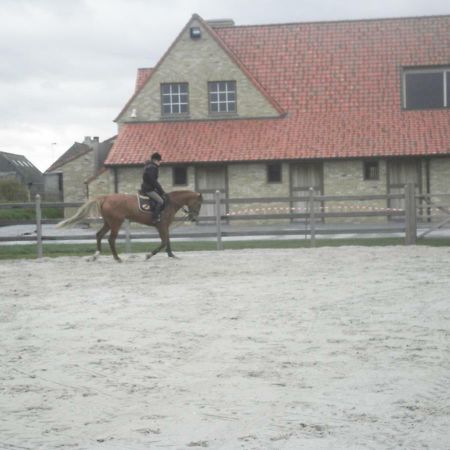 House Zoute Stables 125Sqm In 5 Ha Property Near Seaside In Knokke Vila Exterior foto